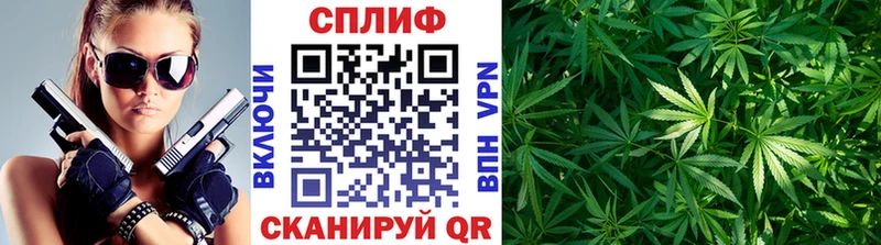 Бошки Шишки OG Kush купить наркотики сайты Ясный